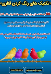 تکنیک های رنگ کردن قناری